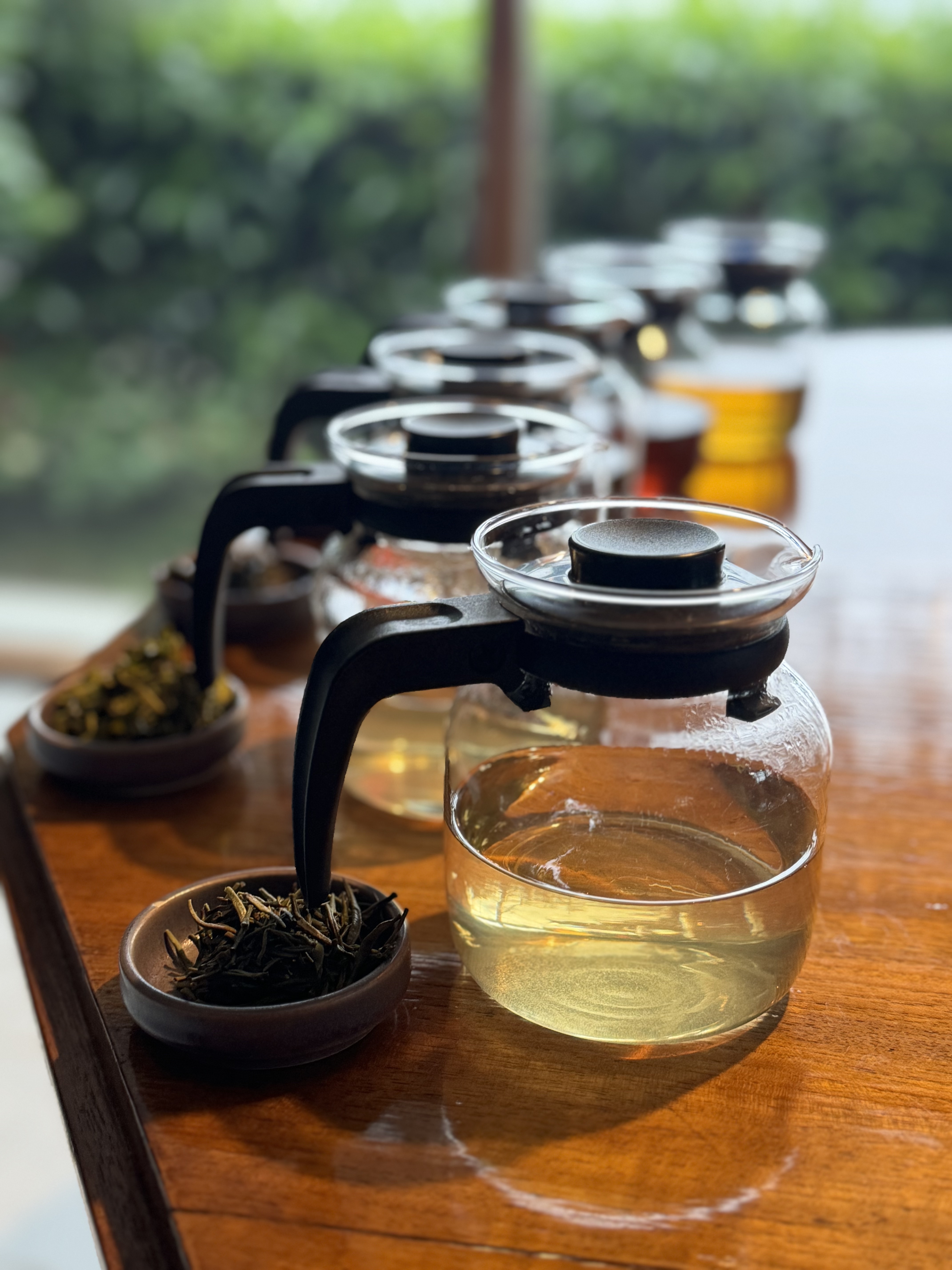Professional tea tasting setup with glass teapots and loose tea leaves